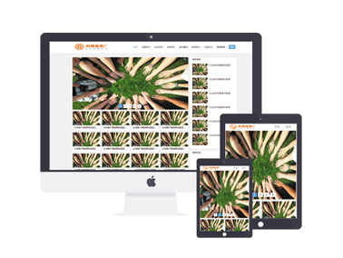 浅灰色新闻资讯体育赛事自媒体教程培训类行业迅睿模版主题下载