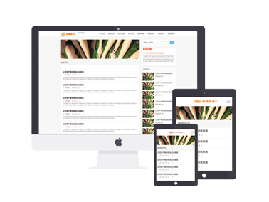浅灰白色自适应博客资讯自媒体类迅睿新闻网站模版下载支持mip