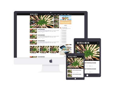 黑色新闻自媒体站群模版源码