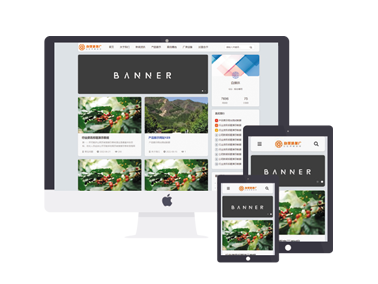 大气简洁蓝色自适应自媒体网络营销网络优化网站模版主题